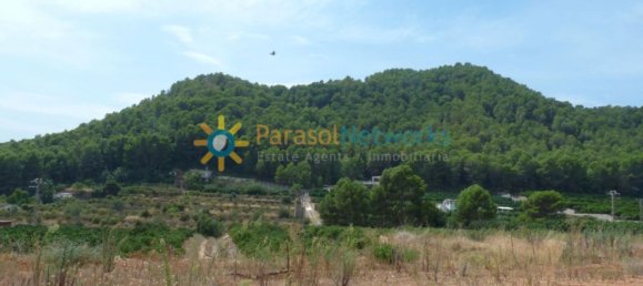 22000m² Land in Valencia, Spain No. 217293 7