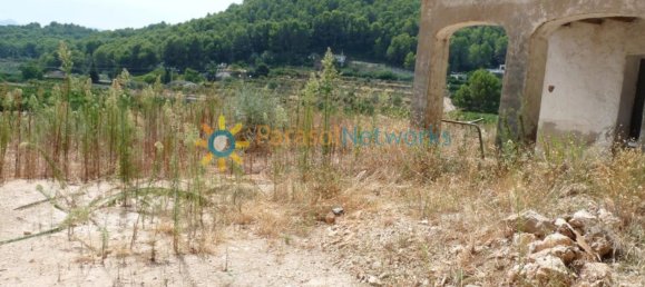 22000m² Land in Valencia, Spain No. 217293 2