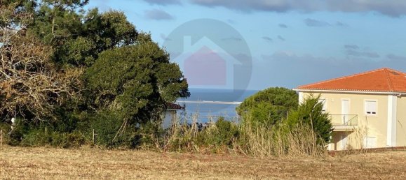 2238m² Land in Caldas da Rainha, Portugal No. 131776 4