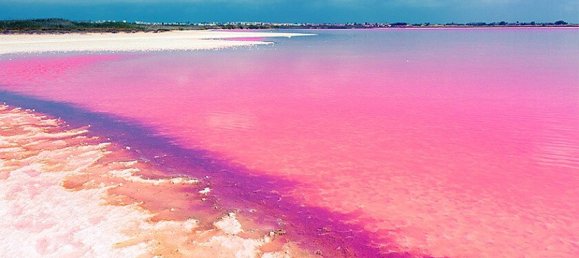 3 bedrooms Apartment in La Mata, Spain No. 14319 8