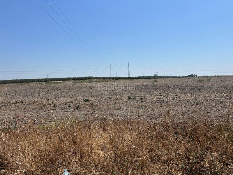18000m² Land in Andalusia, Spain No. 135459