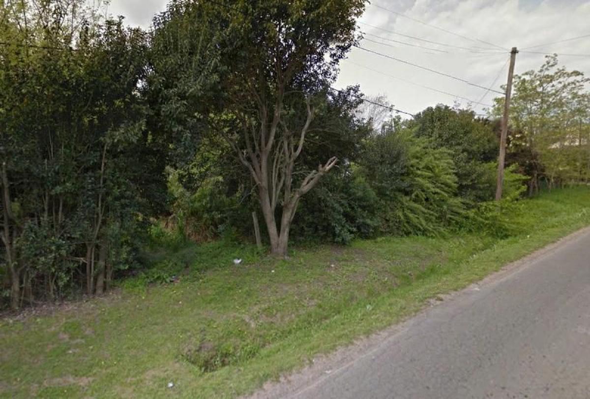  قطعة أرض في Campo Creado, Argentina رقم 39628