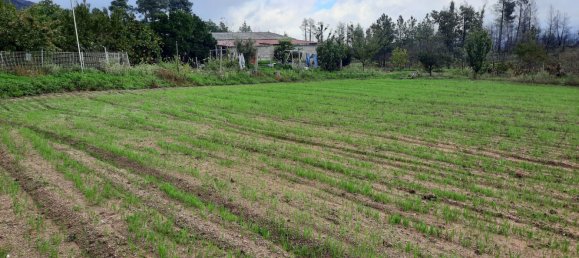 Casa T6 em Gonçalo, Portugal N.º 69282 7