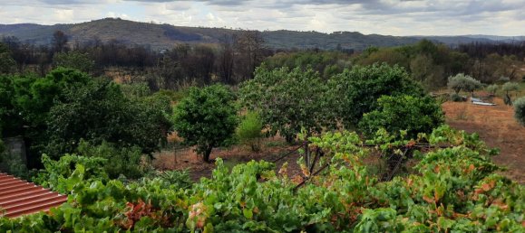 Casa T6 em Gonçalo, Portugal N.º 69282 6