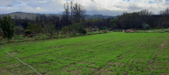 Casa T6 em Gonçalo, Portugal N.º 69282 9