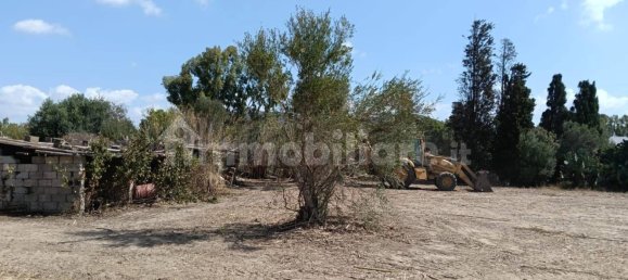 2800m² Land in Sardinia, Italy No. 336667 6