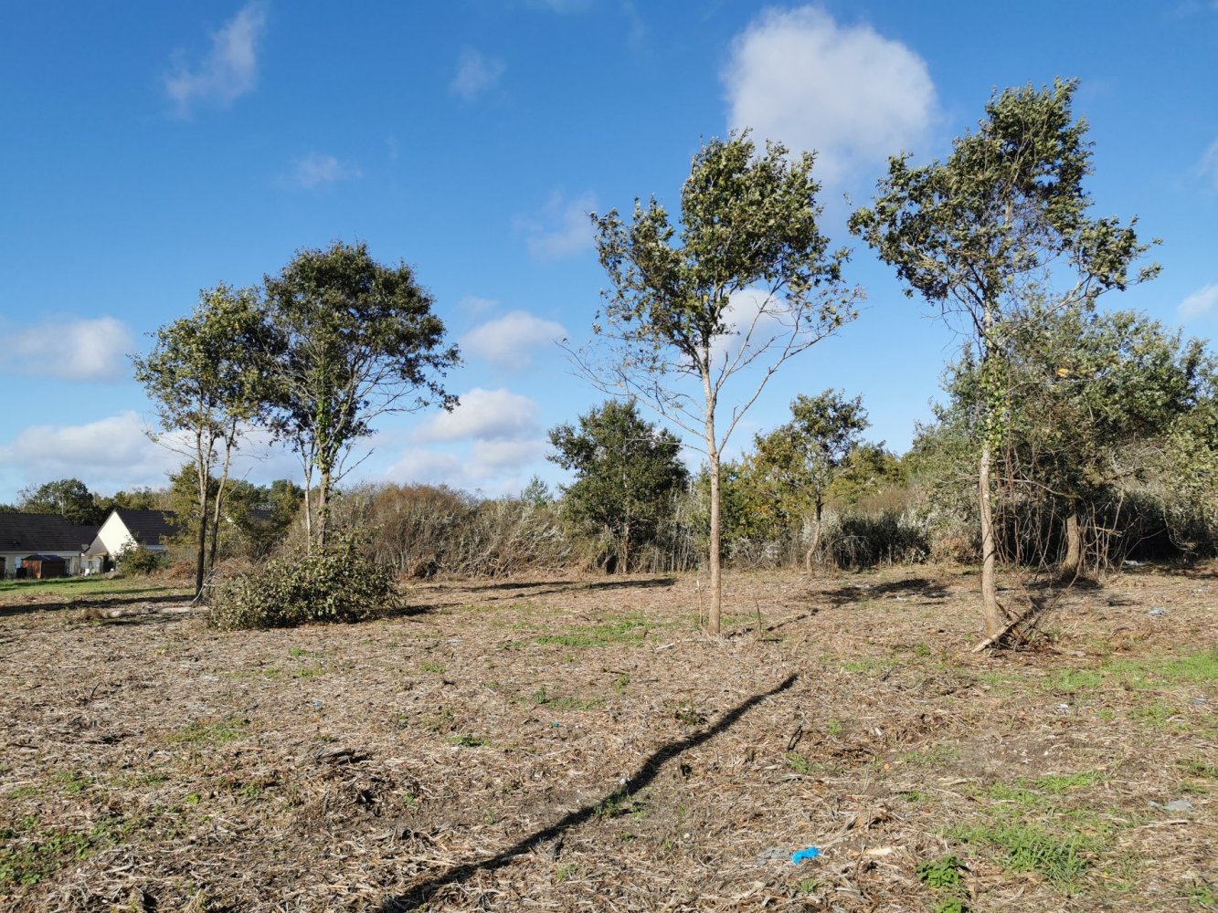 Grundstück in Romorantin-Lanthenay, France, Nr. 209258