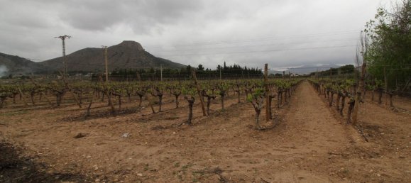 Edifício em Aspe, Spain 70 m² N.º 152778 5