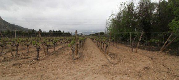 Edifício em Aspe, Spain 70 m² N.º 152778 4
