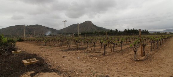 Edifício em Aspe, Spain 70 m² N.º 152778 9