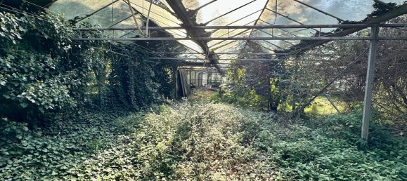 Propiedad comercial de 5 dormitorios en Kleve, Germany No. 181867 14