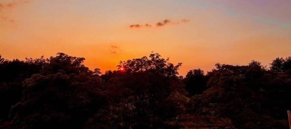 3 bedrooms Penthouse in Bonn, Germany No. 272482 16