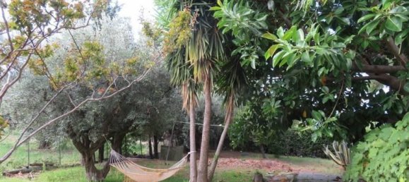 3 rooms Apartment in Gizzeria, Italy No. 39446 4