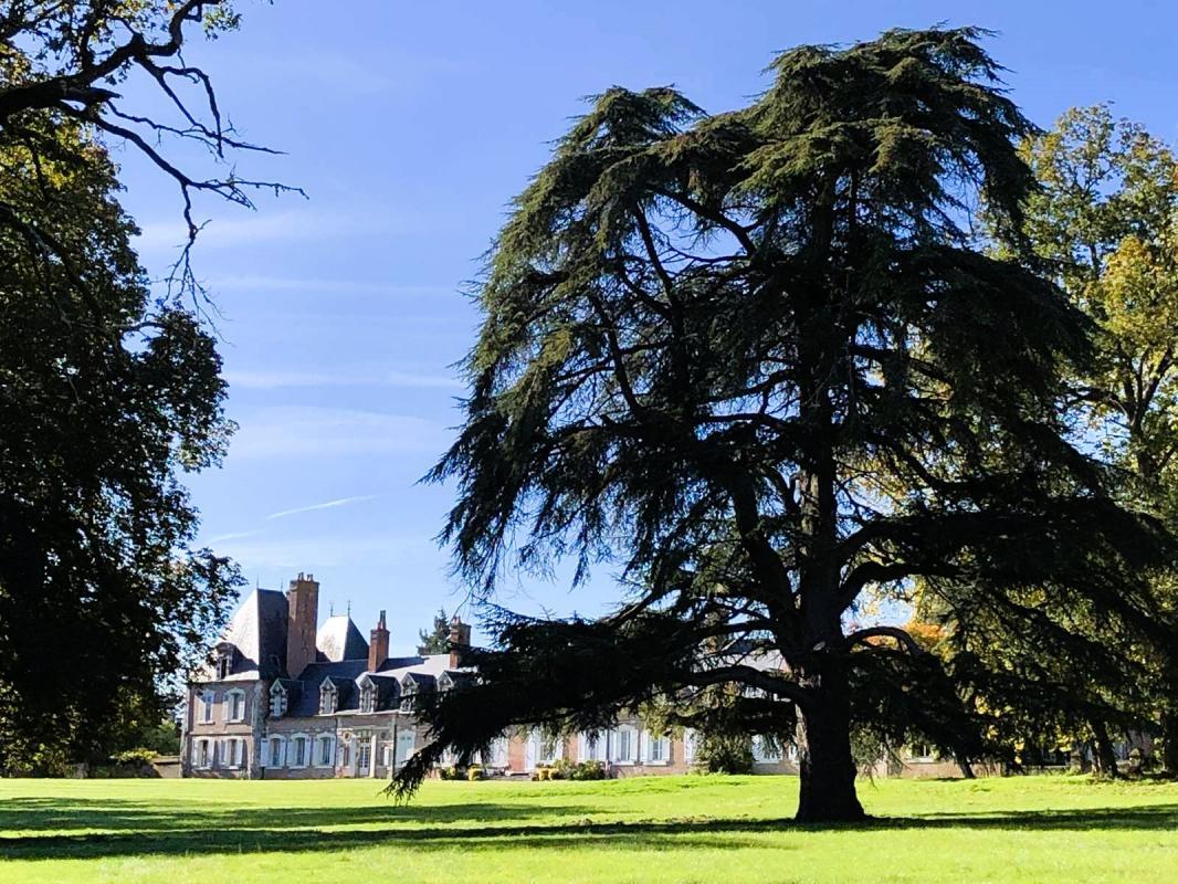 4 bedrooms Duplex in Lamotte-Beuvron, France No. 65183