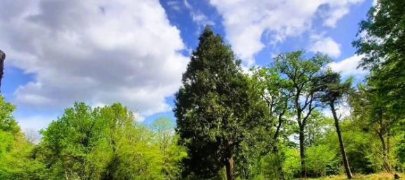 4 bedrooms Duplex in Lamotte-Beuvron, France No. 65183 11