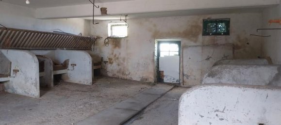 Imóvel comercial em Asturias, Spain 170 m² N.º 186732 10