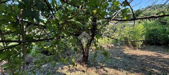 Villa T5 em Sant'Olcese, Italy N.º 266682 33