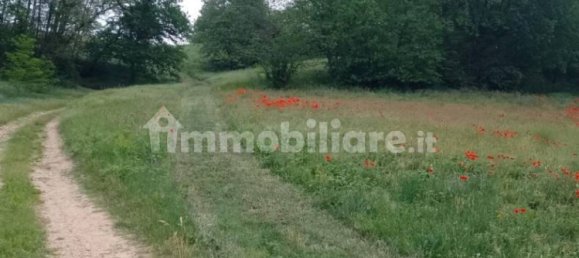 3 Schlafzimmer Haus in Asti, Italy, Nr. 171894 11