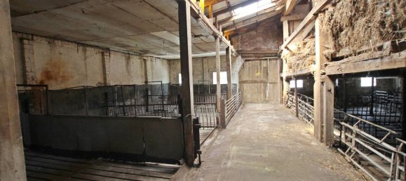 2 bedrooms House in Leer, Germany No. 142779 11