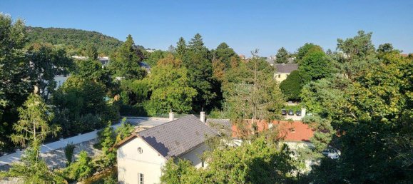 2غرفة شقة في Baden, Austria رقم 234406 2