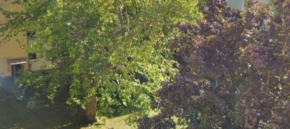 2غرفة شقة في Baden, Austria رقم 234406 6