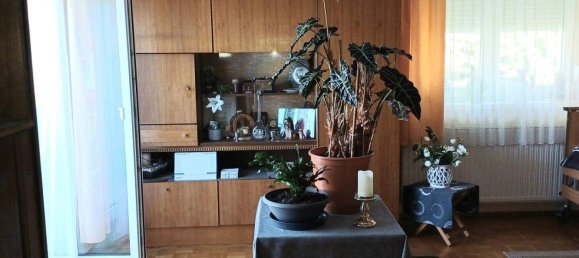 13 rooms House in Rohrbach an der Lafnitz, Austria No. 86812 8