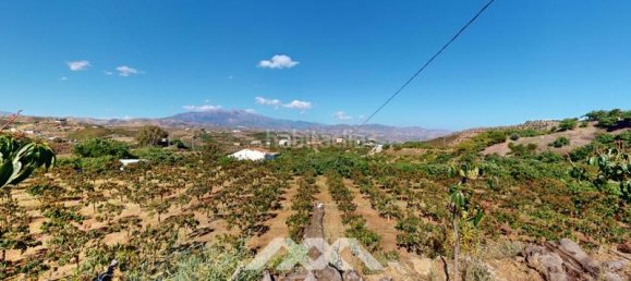 Дом с 3 спальнями в Бенамокарра, Испания № 56429 5