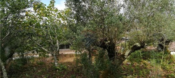 2 Schlafzimmer Haus in Pousaflores, Portugal, Nr. 20710 6