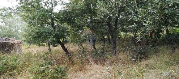 2 Schlafzimmer Haus in Pousaflores, Portugal, Nr. 20710 5