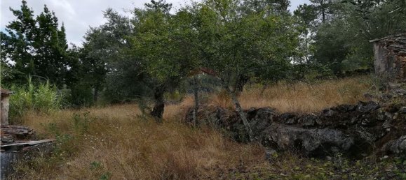 2 Schlafzimmer Haus in Pousaflores, Portugal, Nr. 20710 2