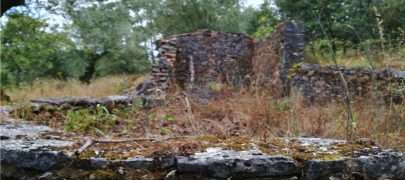 2 Schlafzimmer Haus in Pousaflores, Portugal, Nr. 20710 3