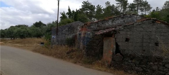 2 Schlafzimmer Haus in Pousaflores, Portugal, Nr. 20710 10
