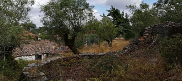 2 Schlafzimmer Haus in Pousaflores, Portugal, Nr. 20710 4