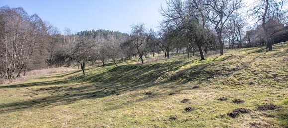 8 rooms House in Krumau am Kamp, Austria No. 126525 36