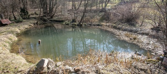 8 rooms House in Krumau am Kamp, Austria No. 126525 39