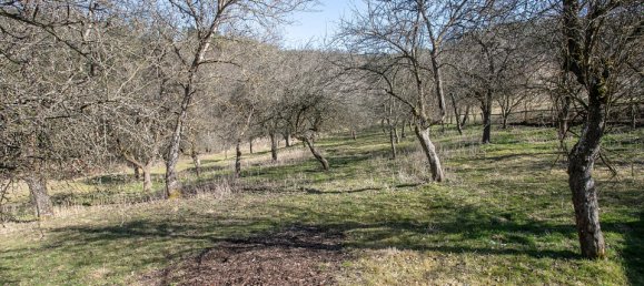 8 rooms House in Krumau am Kamp, Austria No. 126525 37