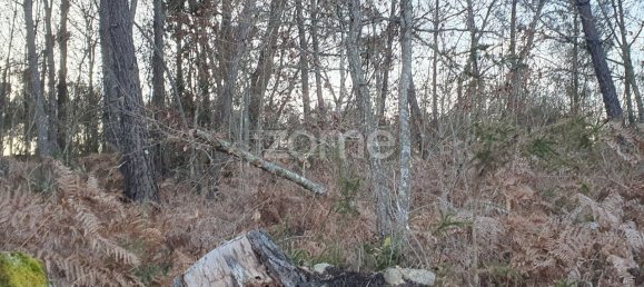  قطعة أرض في Calde, Portugal 1400متر مربع رقم 92472 12