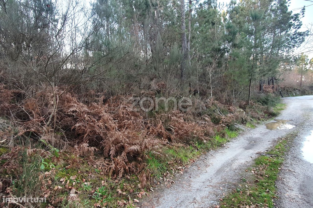  قطعة أرض في Calde, Portugal 1400متر مربع رقم 92472