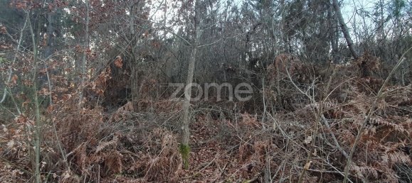  قطعة أرض في Calde, Portugal 1400متر مربع رقم 92472 5