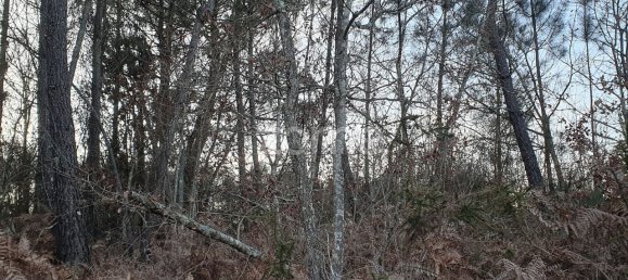  قطعة أرض في Calde, Portugal 1400متر مربع رقم 92472 13