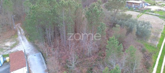  قطعة أرض في Calde, Portugal 1400متر مربع رقم 92472 6