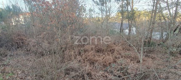  قطعة أرض في Calde, Portugal 1400متر مربع رقم 92472 9