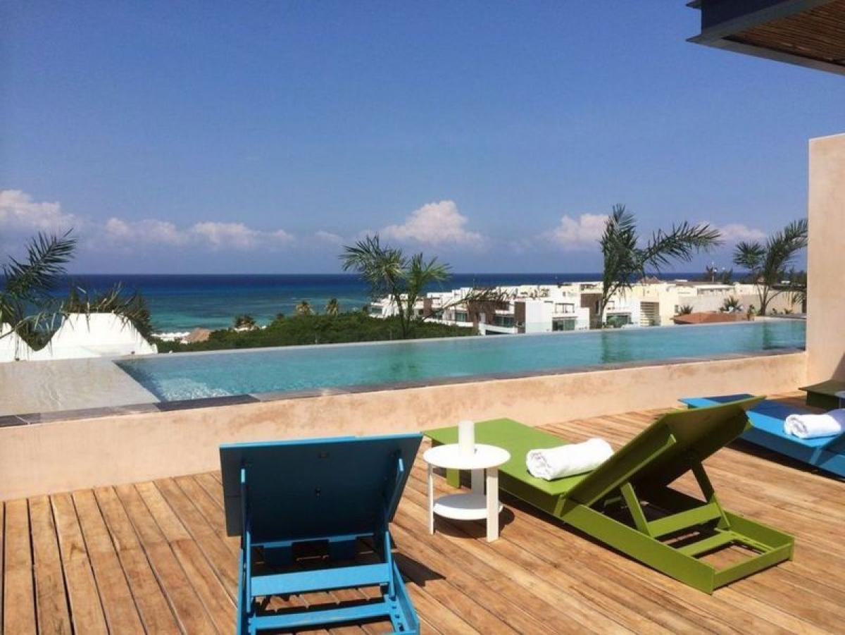 Studio in Solidaridad, Mexico, Nr. 173197