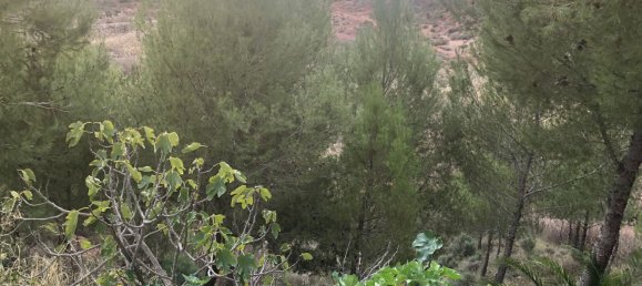 Casa de 4 dormitorios en Petrer, Spain No. 152288 9