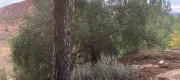 Casa de 4 dormitorios en Petrer, Spain No. 152288 4