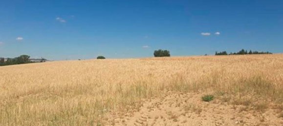 Земельный участок в Симанкас, Испания № 90974 4