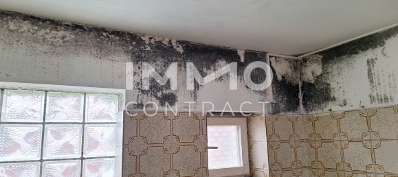 Бунгало с 4 комнатами в Вена, Австрия № 224249 9