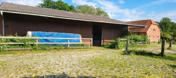 10 rooms Farm in Uelzen, Germany No. 173815 8