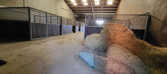 10 rooms Farm in Uelzen, Germany No. 173815 10