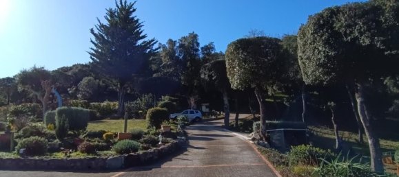 4 bedrooms House in Ceret, France No. 319358 40